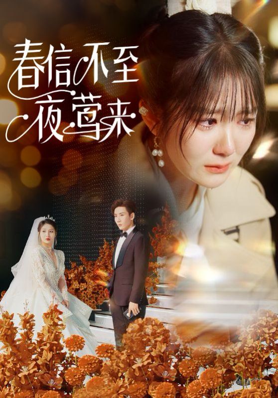 春信不至夜莺来 第1-20集