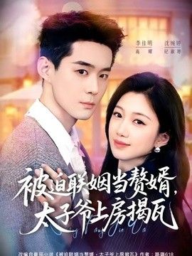 被迫联姻当赘婿，太子爷上房揭瓦(全集)