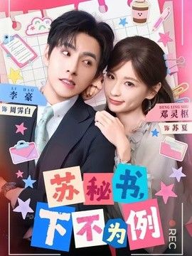 苏秘书，下不为例(全集)