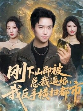 刚下山即被总裁逼婚，我反手横扫都市(全集)