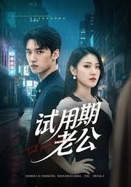 试用期老公(全集)