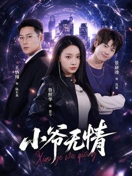 小爷无情(全集)