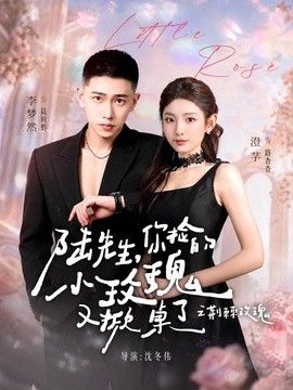 陆先生，你捡的小玫瑰又掀桌了之荆棘玫瑰（太子爷的小玫瑰又掀桌了）(全集)
