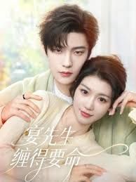 宴先生缠得要命(全集)