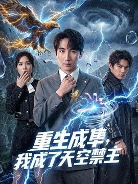 重生成隼，我成了天空禁主(全集)