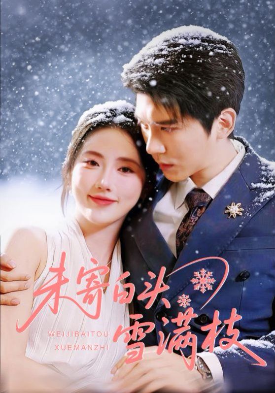 未寄白头雪满枝(全集)