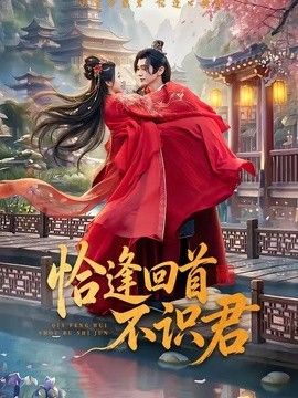 恰逢回首不识君(全集)
