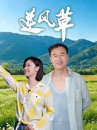 逆风草